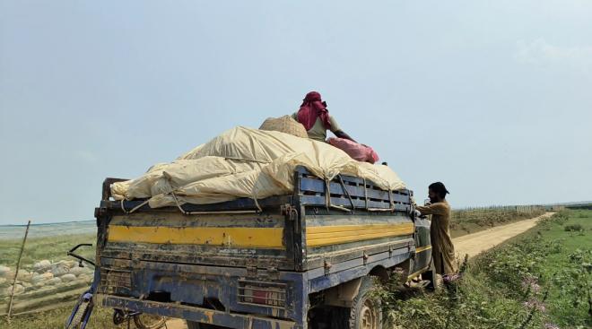 ছবি মুক্তিবাণী