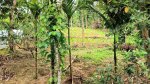 ইচ্ছালছড়া পুঞ্জিতে নিরীহ খাসিয়াদের জীবন-জীবিকায় আঘাত, প্রশাসনের হস্তক্ষেপ কামনা