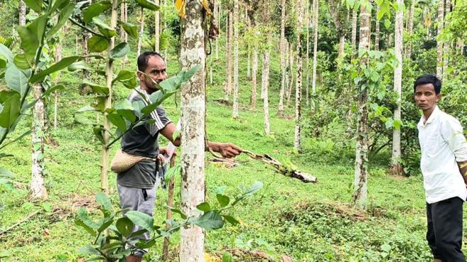 ইচ্ছালছড়া পুঞ্জিতে নিরীহ খাসিয়াদের জীবন-জীবিকায় আঘাত, প্রশাসনের হস্তক্ষেপ কামনা