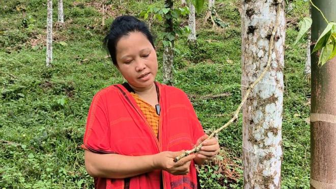 ইচ্ছালছড়া পুঞ্জিতে নিরীহ খাসিয়াদের জীবন-জীবিকায় আঘাত, প্রশাসনের হস্তক্ষেপ কামনা