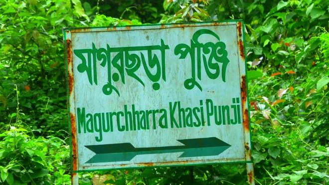 ছবি মুক্তিবাণী