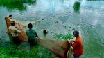 ছবি মুক্তিবাণী