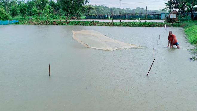ছবি মুক্তিবাণী
