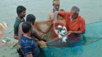 ছবি মুক্তিবাণী