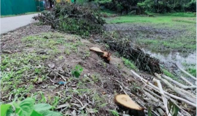 ছবি মুক্তিবাণী