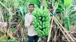 ছবি মুক্তিবাণী