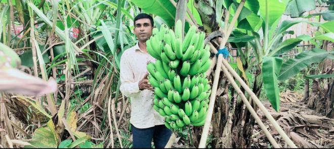 ছবি মুক্তিবাণী