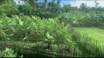 ছবি মুক্তিবাণী