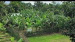 ছবি মুক্তিবাণী