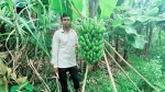 ছবি মুক্তিবাণী