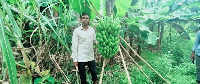 ছবি মুক্তিবাণী